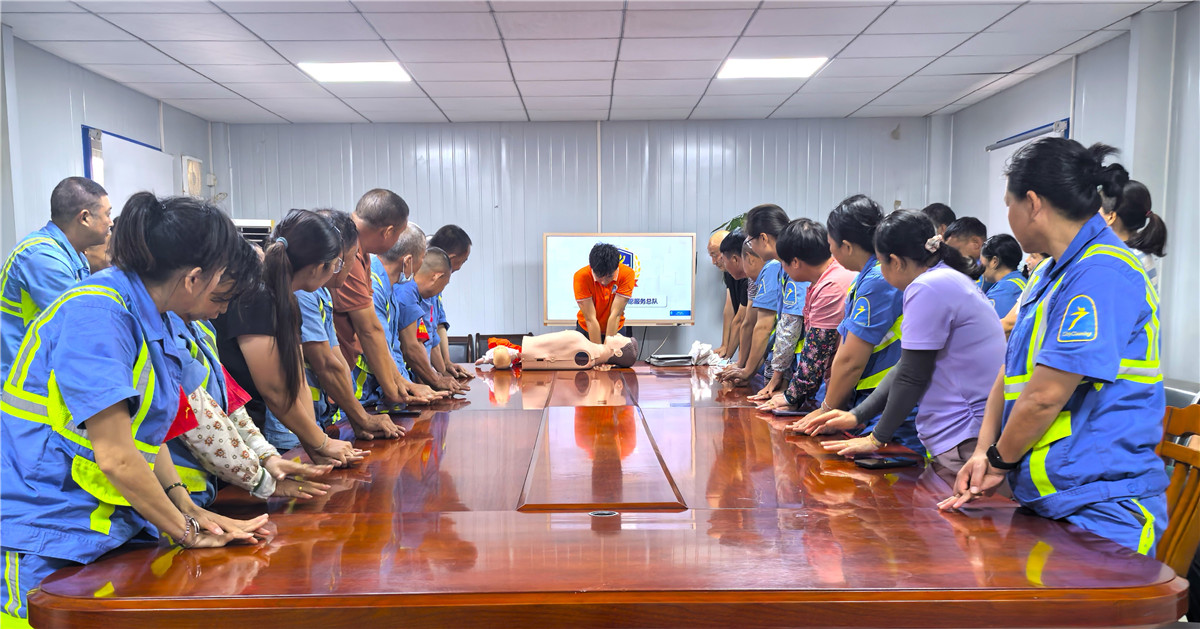 久久人妻少妇嫩草AV