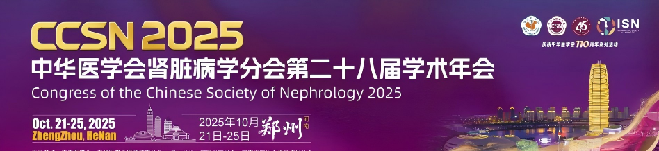 久久人妻少妇嫩草AV