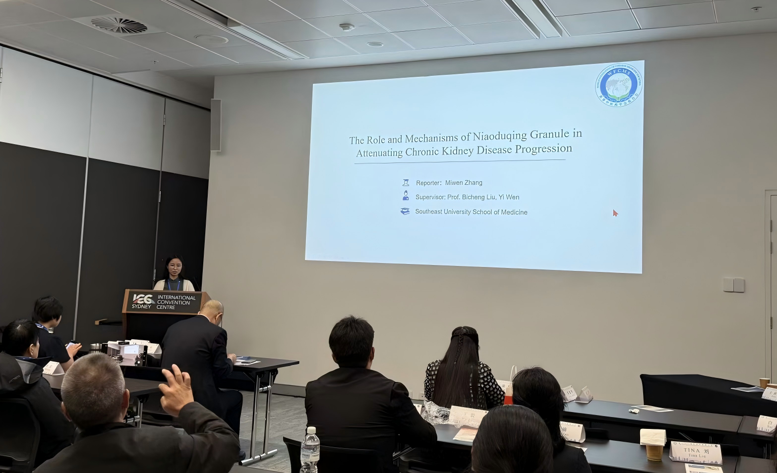 久久人妻少妇嫩草AV