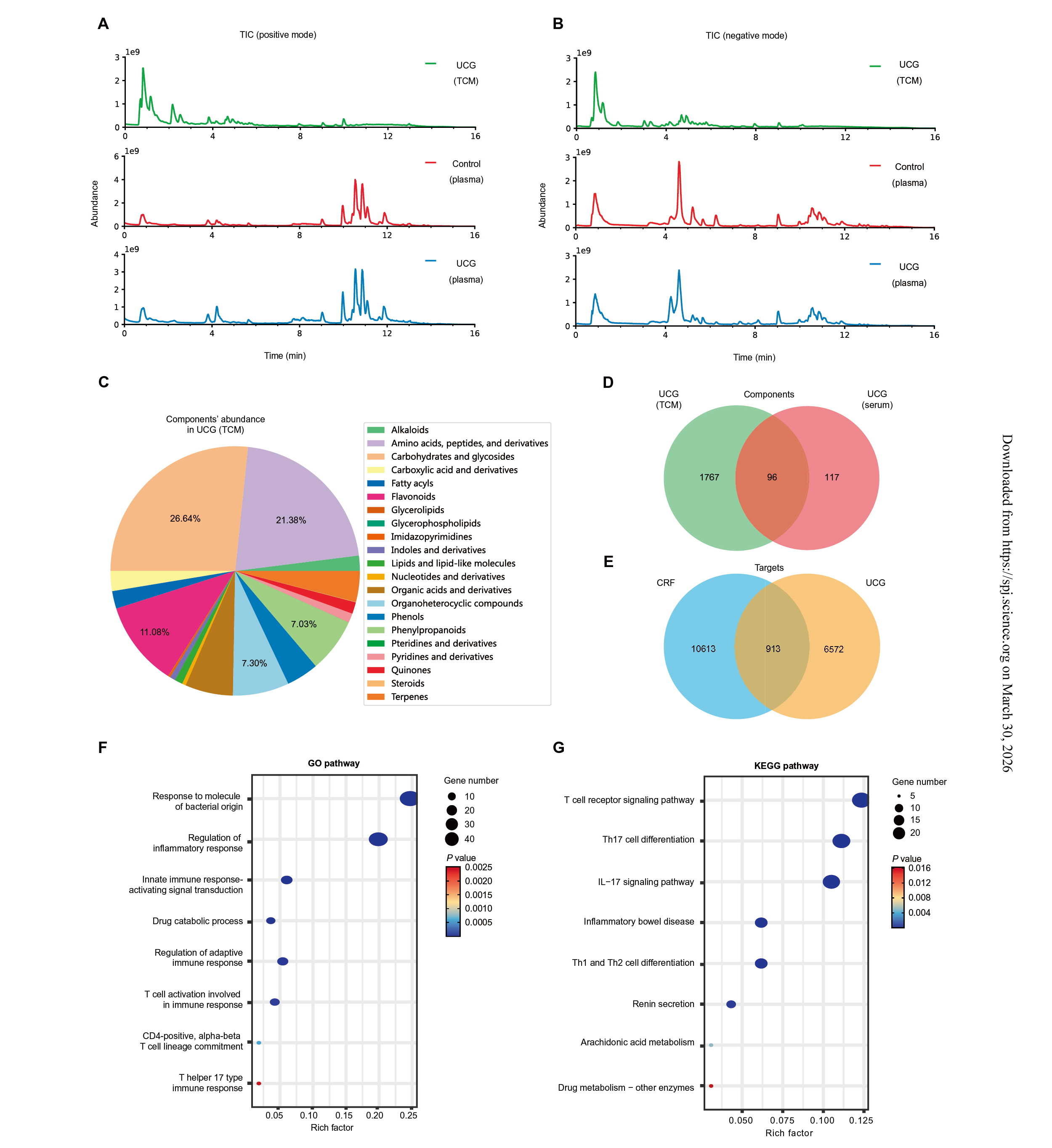 久久人妻少妇嫩草AV