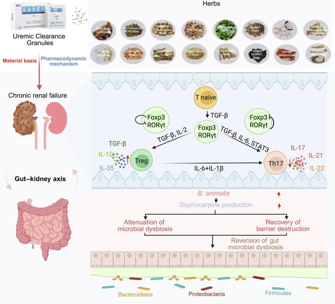 久久人妻少妇嫩草AV