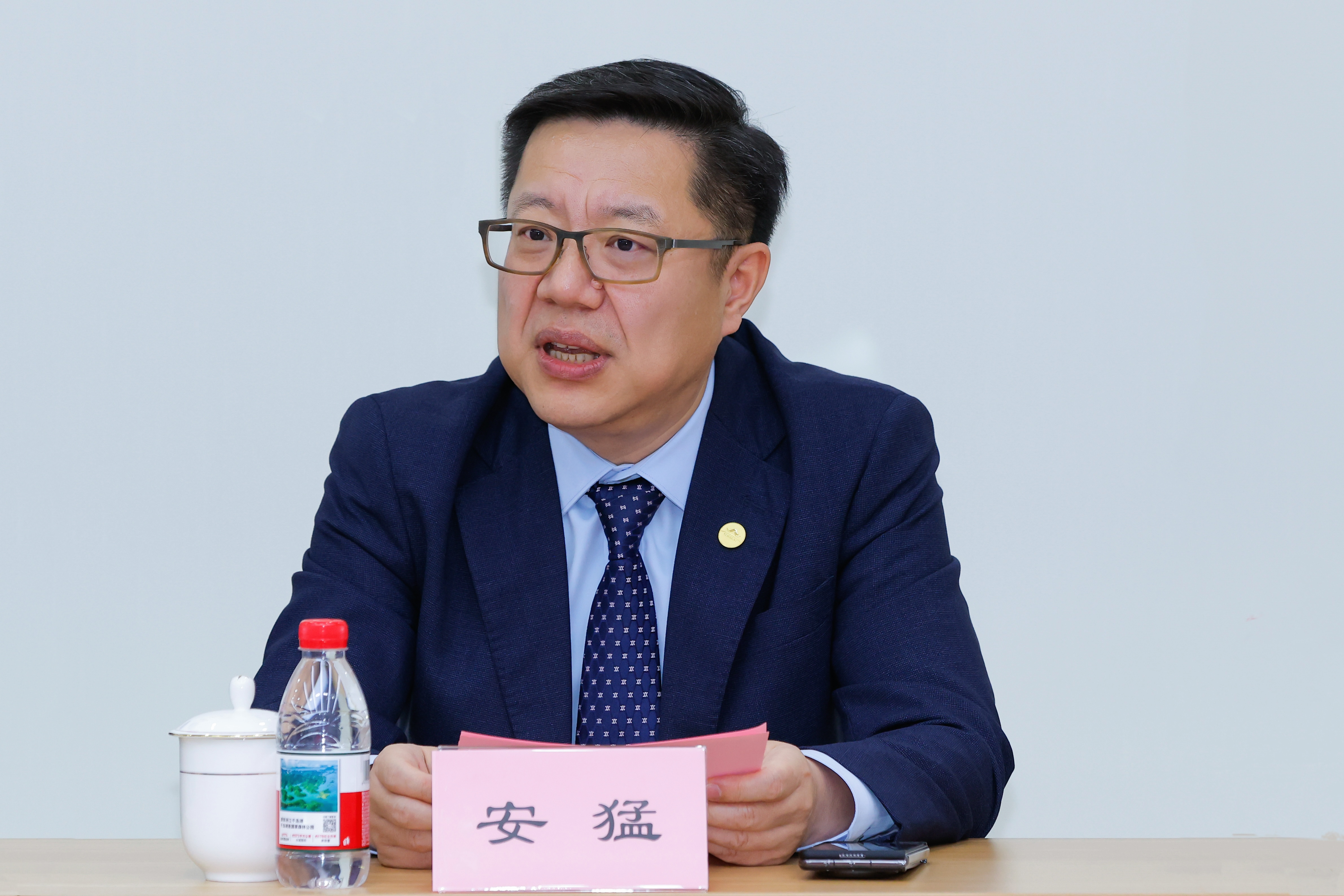 久久人妻少妇嫩草AV