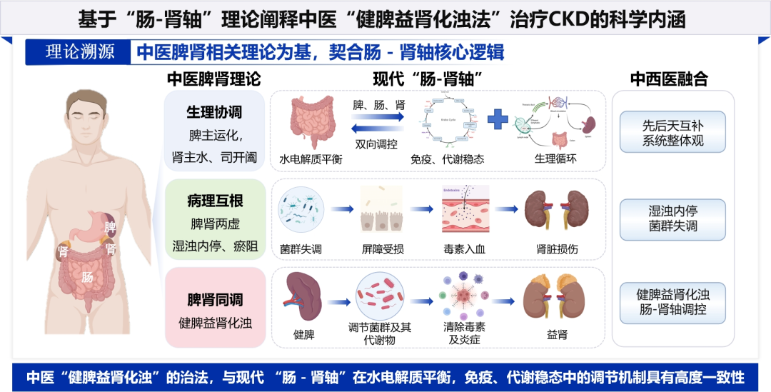 久久人妻少妇嫩草AV